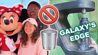 I Tried To Do Disneyland Zero Waste