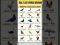 birds name in hindi birthday bird youtubeshorts explore video likes entertainment short