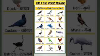 Birds name in hindi||#birthday #bird #youtubeshorts #explore #video #likes #entertainment #short