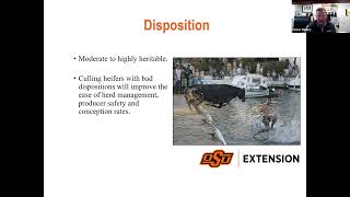 Selecting and Developing Replacement Heifers for Long-Term Herd Success