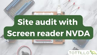 Web Accessibility Audit Using NVDA Screen Reader