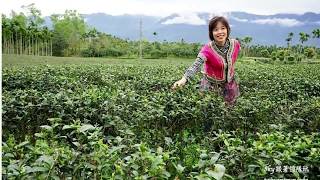 花蓮景點推薦懶人包