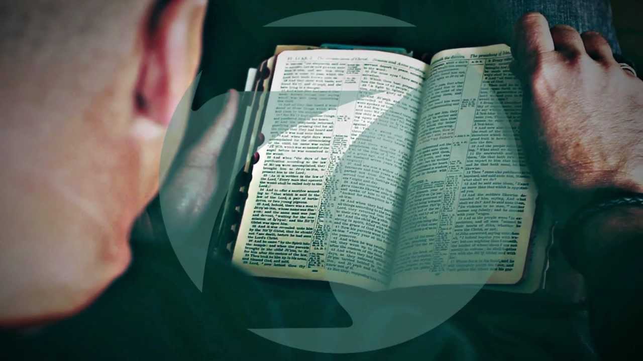 Seven Series Promo Youtube