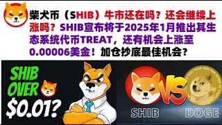 柴犬币（SHIB）牛市还在吗？还会继续上涨吗？SHIB宣布将于2025年1月推出其生态系统代币TREAT，还有机会上涨至0.00006美金！加仓抄底最佳机会？#shib币#柴犬币#屎币行情分析