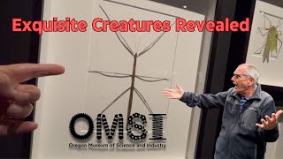 I was BLOWN AWAY by Exquisite Creatures Revealed exhibit at OMSI!