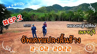 #EP.2 อัพเดทแปลงลิ้นช้าง หนองหญ้าปล้อง เพชรบุรี  2 ก.พ.65