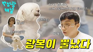 [ENG][박성광채널] 광복이 뿔났다!? (feat. 미녀개그우먼)