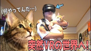 突然飼い主がVRの世界に入っちゃったら猫たちはどうするのか…！？【モニタリング】