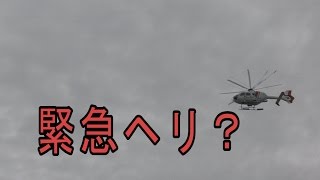 【タマン釣り】ハマフエフキを狙え【初心者あるある】