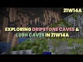 Exploring Dripstone Caves & Lush Caves in 21w14a | Minecraft 1.17 21w14a | Raw Ores