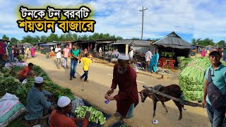 টনকে টন বরবটি সকালের শয়তান বাজারে। Village Market। মেঘাদল বাজার, শ্রীবরবী ২০২৪