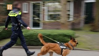 Politiehond grijpt verdachte na beroving Aalsmeer - 0297.nl