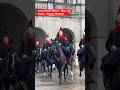 Armed Police Officer - Blues and Royals - Deserve RESPECT❗️#kingsguard #horse #londonwalk #guard