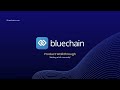 Adding an invoice to Bluechain