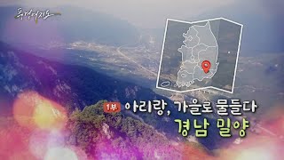 [풍경여지도] 아리랑, 가을로 물들다 - 경남 밀양 1부 / 연합뉴스TV (YonhapnewsTV)