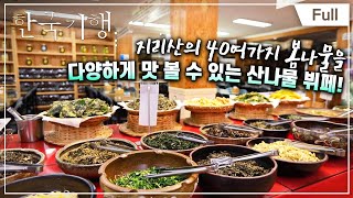 [Full] 한국기행 - 봄은 맛있다  5부 봄바람 따라 지리산