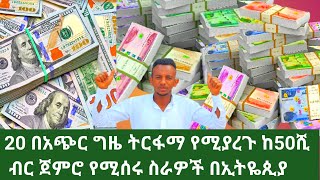 20 በአጭር ግዜ ትርፋማ የሚያረጉ ስራዎች በኢትዬጲያ!20 Short-Term Profitable Jobs in Ethiopia