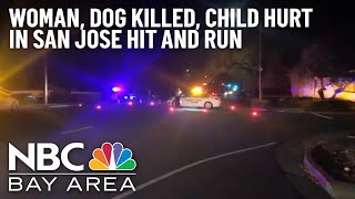 Woman, Dog Killed, Child Injured in Hit-And-Run in San Jose: Police