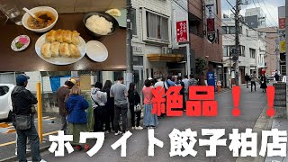 【第7ギョーザと違うの？】ホワイト餃子柏店【正直な感想言います】