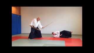 Ulf Evenås Shihan demonstrating Takemusu Aikido