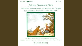 Entfliehet, verschwindet, entweichet, ihr Sorgen, BWV 249a: Recitative. Wie aber, die schonste...