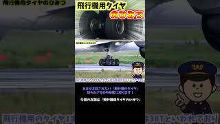 【飛行機/雑学】飛行機用タイヤのひみつ#Shorts #飛行機 #タイヤ #雑学