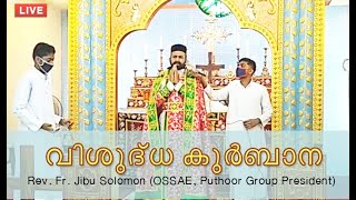 Live Holy Qurbana (Rev. Fr.Jibu Solomon) Full Video