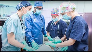 Anesthesia Assistant Program at The Michener Institute