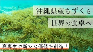 沖縄県産もずくを世界の食卓へ：高専生が新たな価値を創造！