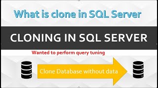 SQL Server clone database without data