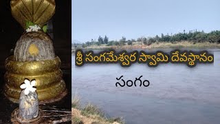 శ్రీ సంగమేశ్వర స్వామి| Sangame Swamy temple in Sangam| Srikakulam| AP famous temples| TG| EP#203