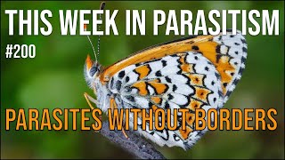 TWiP 200: Parasites without borders