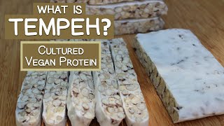 What is Tempeh? A Cultured Vegan Protein Source