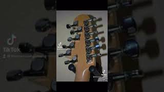 Custom 12 twelve string Fender Strat Stratocaster