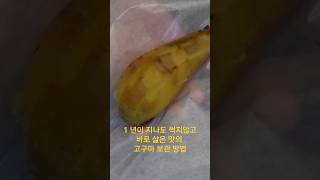 1 년이 지나도 썩지 않고 바로 찐것 같은  고구마 보관 방법