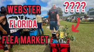 Webster Flea Market Annual Trip! #WebsterFlorida #Thrifting #Bargains