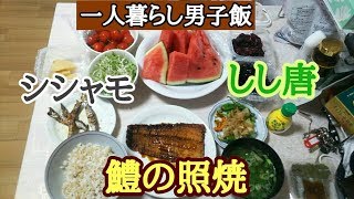 (一人晩酌)デパ地下で買った鱧の照り焼き＆ブロッコリースーパースプラウトを食す【一人暮らし男子飯】