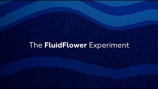 The FluidFlower experiment: Showing that CCS is safe