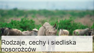 RHINOCERONTES - rodzaje, cechy i siedliska