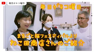 毎日がネコ曜日 日曜日版　阪神百貨店「まるごと猫フェスティバル」より「ねこ田商店」さんをご紹介