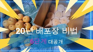 직이네 20년 배포장 비법 대공개