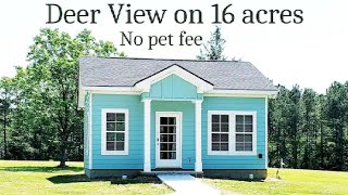 Most Beautiful Deer View Cottage Tiny House on 16 Acre