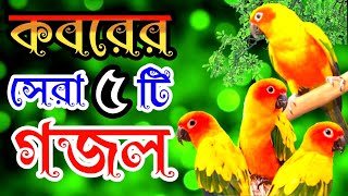 খুবই দুঃখের কবরের সেরা সকলের গুনাহ মাফের মন প্রাণ জুড়ানো পাঁছটি গজল | New best islamic song | Gojol