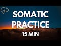 Somatic Exercises for Nervous System Regulation | 15 Min Guided