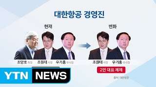 충격의 대한항공...현 경영 체제는 유지 논란 / YTN