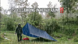 SOLO CAMPING IN HEAVY RAIN‼️RAIN SOUND RELAXING, ASMR