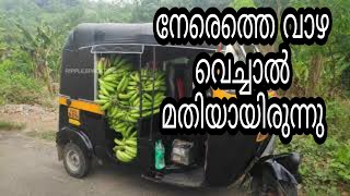 വാഴ കൃഷി | BANANA FARMING | RIPPLESPACETIME | Before corona time