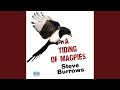 Chapter 43.7 & Chapter 44.1 - Tiding of Magpies, A