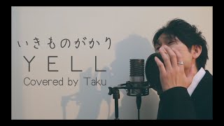 【男性カバー】YELL/いきものがかり(Covered by Taku)