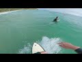 pov surfing perfect noosa heads raw